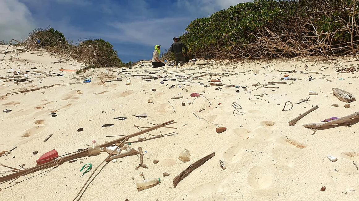 Satellite imaging can now spot plastic trash hiding on beaches